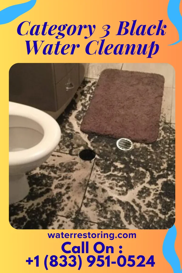 Category 3 Black Water Cleanup in McDonald, PA