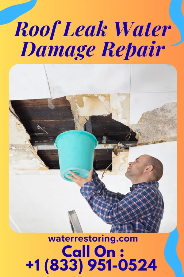 Roof Leak Water Damage Repair in McDonald, PA