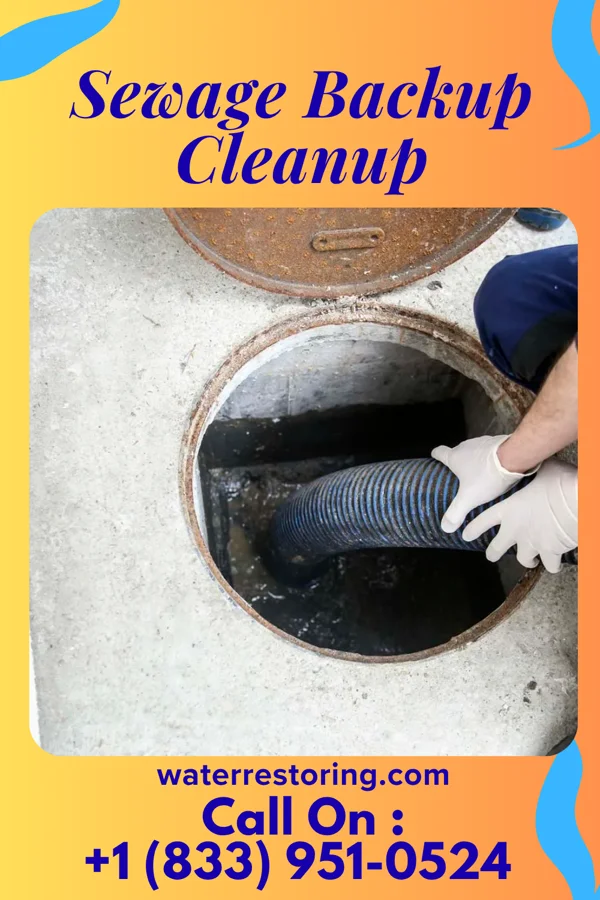 Sewage Backup Cleanup in McDonald, PA