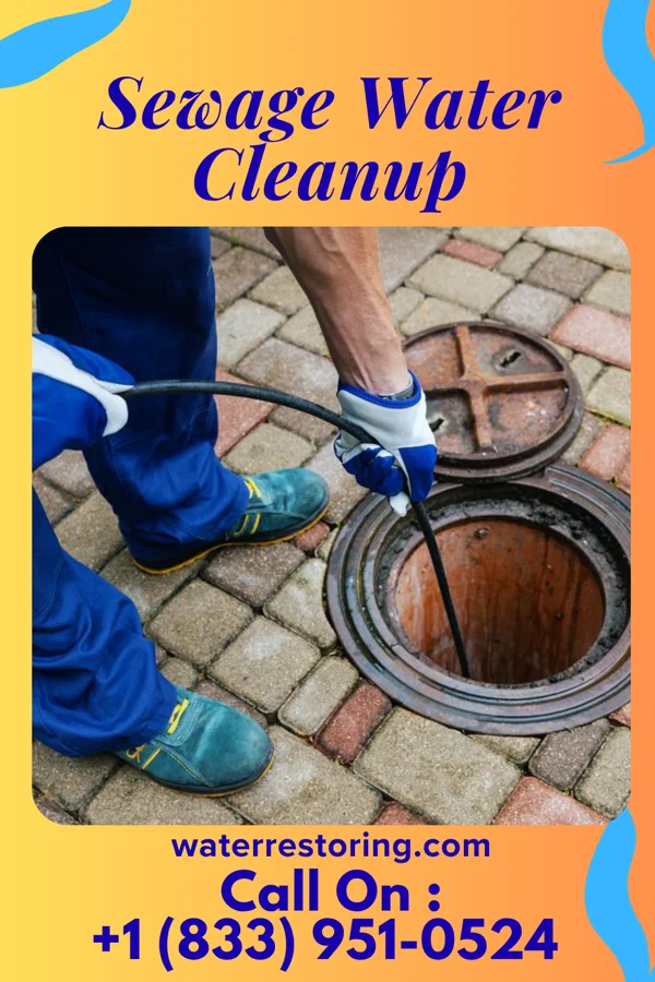 Sewage Water Cleanup in McDonald, PA
